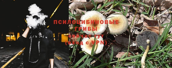не бодяженный Осинники