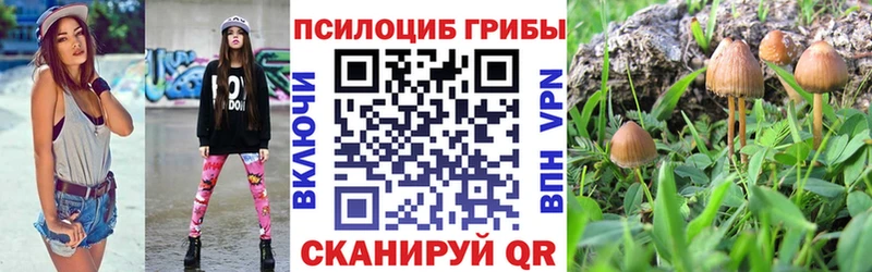 Галлюциногенные грибы мухоморы  где можно купить   Красный Кут 